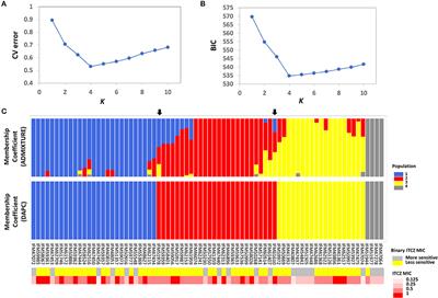 Genome-Wide Association for Itraconazole Sensitivity in Non-resistant Clinical Isolates of Aspergillus fumigatus